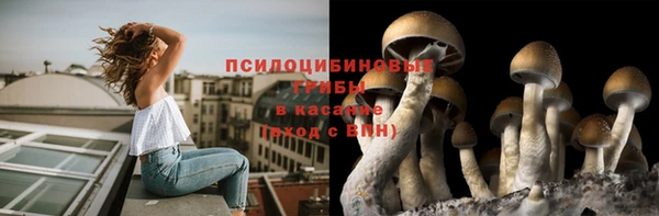 spice Волосово