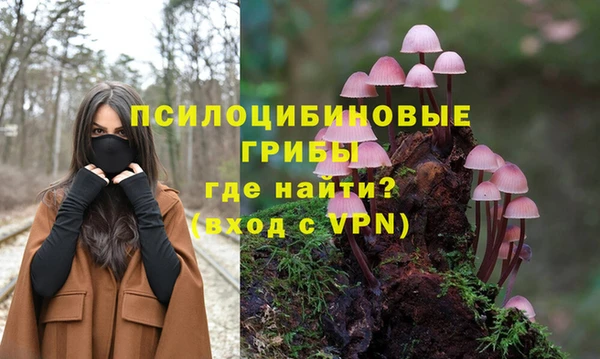 стаф Волоколамск