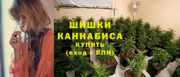 стаф Волоколамск