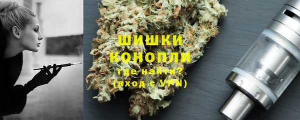 стаф Волоколамск