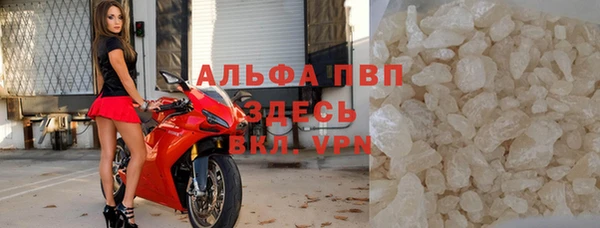 стаф Волоколамск